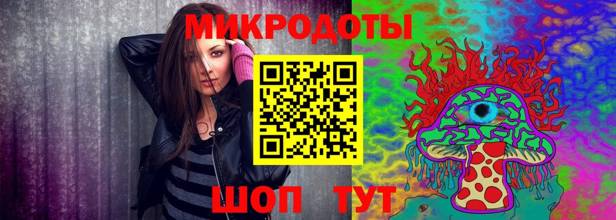 Камышин  Псилоцибиновые грибы Psilocybine cubensis  Вход с VPN  Псилоцибиновые грибы мухоморы 